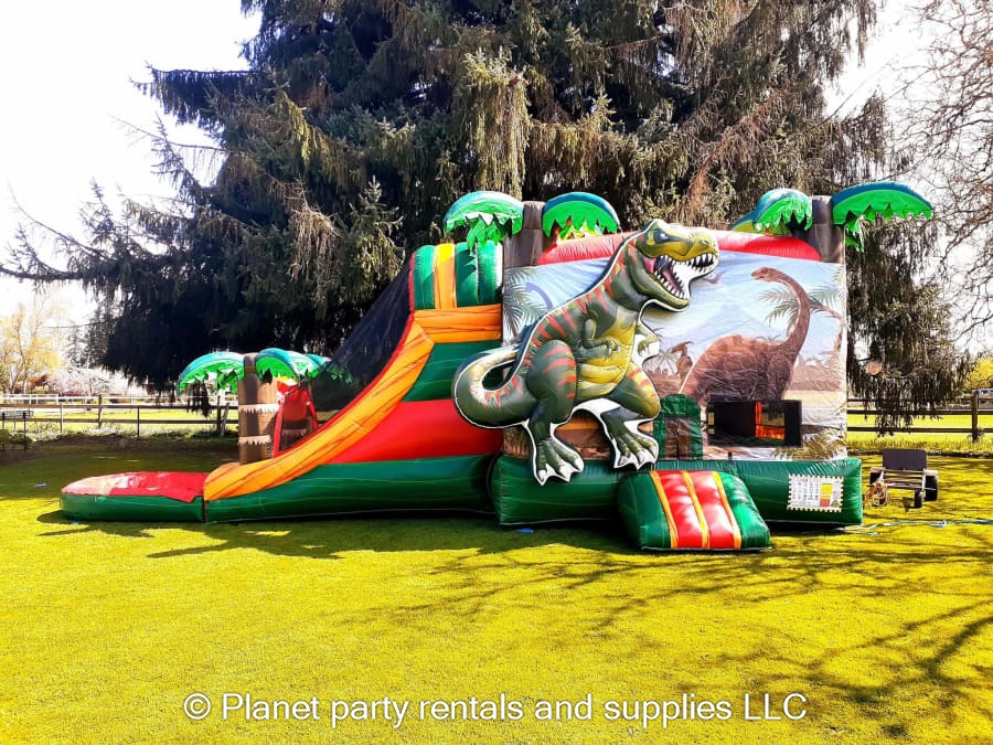 Bounce house water slide combo Bounce houses and party supplies in