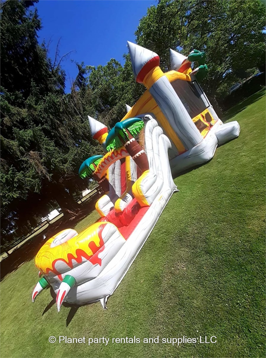Bounce house water slide combo Bounce houses and party supplies in
