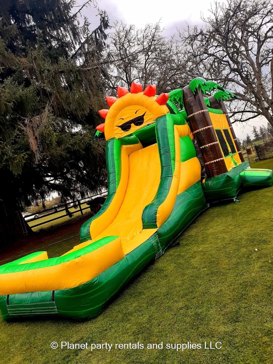 Bounce house water slide combo Bounce houses and party supplies in